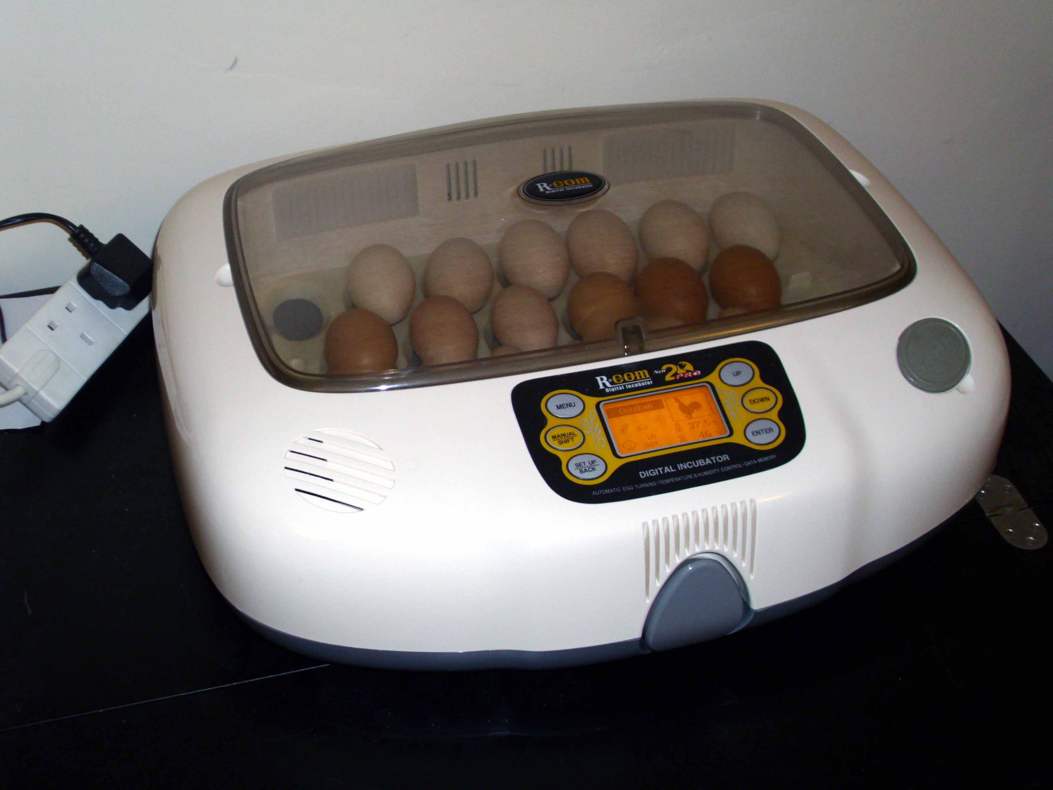 Egg Incubator